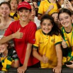 Nespočetné množstvo zhrdzavených fanúšikov Socceroos bolo tento rok zbavených vstupeniek na Majstrovstvá sveta FIFA, pričom niektorí chamtiví skalperi žiadali za niektoré hry úžasných 322 000 dolárov.