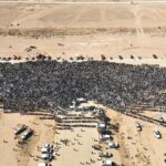 Prečo musel Sajf al-Islam Kaddáfí zomrieť? | Muammar Kaddáfí