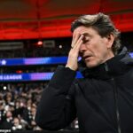 Rekord dvoch víťazstiev v posledných 17 ligových zápasoch pod vedením Thomasa Franka, ktorý bol teraz vyhodený, zanechal Spurs len päť bodov od zóny zostupu.