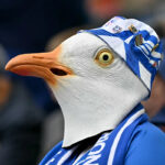 🥐☕️ Raňajky FC: futbalista oživuje čajku, francúzsky FA to nebaví