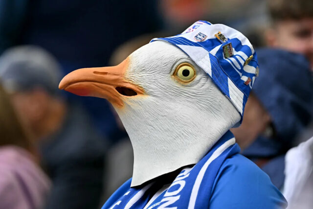 🥐☕️ Raňajky FC: futbalista oživuje čajku, francúzsky FA to nebaví 🥐☕️ Raňajky FC: futbalista oživuje čajku, francúzsky FA to nebaví