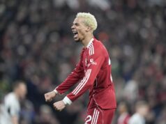 Torresovsky vplyv, ktorý má Hugo Ekitike na tento Liverpoolsky tím Inštinktívne zakončenie Huga Ekitikeho proti Newcastlu bolo podobné... (Getty Images)