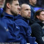 John Heitinga je považovaný za hlavného kandidáta na prechodné vedenie Tottenhamu