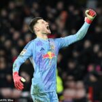 Besiktas má záujem získať Illana Mesliera, ktorý v Leedse neuspel