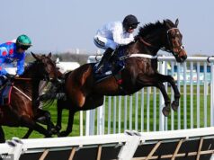 Veľký rozvoj Cheltenhamského festivalu ako legendárneho trénera Nickyho Hendersona potvrdzuje jeho obrovské rozhodnutie o obľúbenom fanúšikovi Constitution Hill Constitution Hill vyhral prekážku šampióna v roku 2023, ale pri obnovení v roku 2025 padol