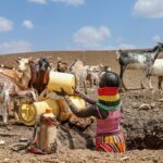 Viac ako dva milióny ľudí čelia hladu, keďže sucho zachvátilo Keňu | Klimatické správy