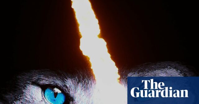 Zranené líšky a neužitočný výlet do FA Cupu k ich Zranené líšky a neužitočný výlet do FA Cupu k ich svätým mučiteľom | futbal