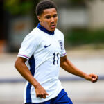 „Každý v Norwichi by mal byť hrdý na Tavaresa“