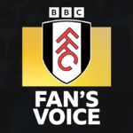 Kevin z Fulhamu skóruje proti Stoke City