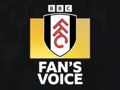 „Kevin predstavuje pokrok, ktorý klub naďalej robí“ Kevin z Fulhamu skóruje proti Stoke City