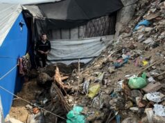 „Potkany nám prebehnú po tvárach“: Vysídlení z Gazy nútení žiť na zamorenej pôde | Izraelsko-palestínsky konflikt „Potkany nám prebehnú po tvárach“: Vysídlení z Gazy nútení žiť na zamorenej pôde | Izraelsko-palestínsky konflikt