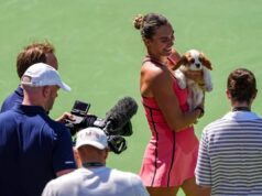 Aryna Sabalenka, vírusové šteniatko Ash zdieľa špeciálnu oslavu Indian Wells Aryna Sabalenka, vírusové šteniatko Ash zdieľa špeciálnu oslavu Indian Wells