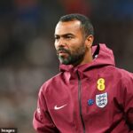 Ashley Cole nastúpil do svojej prvej manažérskej funkcie v Serie B v Cesena FC do júna 2026