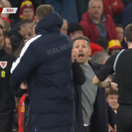 BREAKING: Edin Dzeko a Craig Bellamy sa stretnú vo vyhrotenom play-off Svetového pohára medzi Walesom a Bosnou