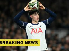 Bayern Mníchov nemá záujem o hviezdu Tottenhamu Archieho Graya Bayern Mníchov nemá záujem o hviezdu Tottenhamu Archieho Graya