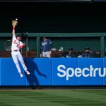 MLB: Tampa Bay Rays v St. Louis Cardinals