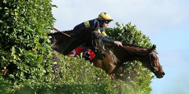 Cheltenham Festival LIVE: Najnovšie tipy, pretekárske karty a výsledky zo štvrtkového dňa svätého Patrika ako masívneho favorita sú OUT
