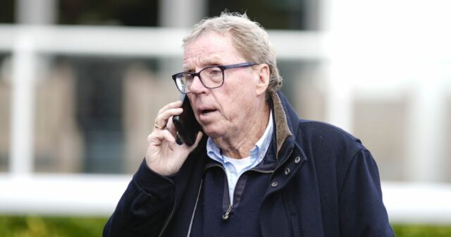 Daniel Levy povedal Harrymu Redknappovi, že ho privedie späť do Tottenhamu | Futbal | Šport
