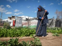 Deň zeme v Gaze: Medzi spomienkou a bojom o to, čo zostáva | Slučka Deň zeme v Gaze: Medzi spomienkou a bojom o to, čo zostáva | Slučka