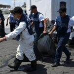 Divoká zver zabitá, útesy poškodené pri „aktívnej“ havárii ropy v Mexickom zálive | Správy o klimatickej kríze