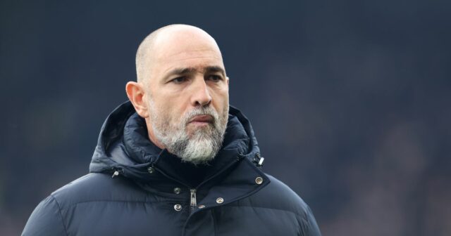 Tréner Tottenhamu Hotspur Igor Tudor