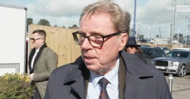 Harry Redknapp posiela Tottenhamu pod tlakom deväťslovný pracovný odkaz s Igorom Tudorom | Futbal | Šport
