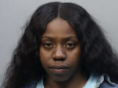 Hviezda WNBA Arike Ogunbowale zatknutá v Miami, keď sa bezkonkurenčná párty v hotspote celebrít zmenila na zlovestný obrat Hviezda WNBA Arike Ogunbowale bola zatknutá v Miami a obvinená z batérie