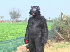 Indickí farmári sa obliekajú ako medvede, aby chránili úrodu pred opicami | Poľnohospodárstvo Indickí farmári sa obliekajú ako medvede, aby chránili úrodu pred opicami | Poľnohospodárstvo