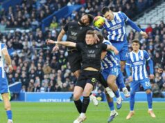 Je Sunderland vs Brighton v televízii? Sieť, online stream, rozhlasové informácie|Futbal|Športová aktivita Taboola nad zástupným symbolom článku