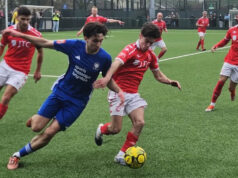 Jersey Bulls zaujalo víťazstvom Hassocks 3:0 Jersey Bulls zaujalo víťazstvom Hassocks 3:0