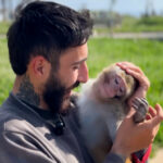 Libanonský obyvateľ zostáva s domácim miláčikom opice napriek príkazom na evakuáciu | Newsfeed