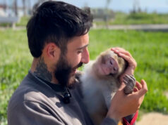 Libanonský obyvateľ zostáva s domácim miláčikom opice napriek príkazom na evakuáciu | Newsfeed Libanonský obyvateľ zostáva s domácim miláčikom opice napriek príkazom na evakuáciu | Newsfeed