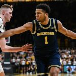 Basketbal NCAA: Michigan v Iowe
