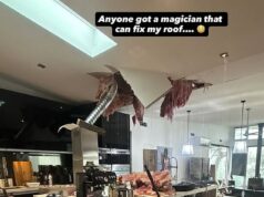 Nathan Cleary je ponechaný v nevere, pretože jeho kuchyňa je ZNIČENÁ Nathan Cleary čelí obrovskému účtu za upratovanie a opravu po tom, čo bola zničená kuchyňa v jeho luxusnom dome v Sydney (na obrázku)