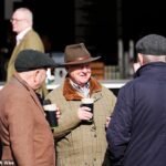 Cheltenhamský festival tento rok znížil ceny pinty Guinessovej knihy o 30 p na 7,50 libier