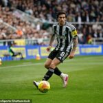 Confidential chápe, že Manchester United formálne pristúpi k Newcastlu pre Sandra Tonaliho na konci sezóny