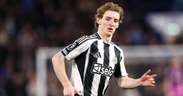 Newcastle: Počas barcelonského zápasu vypukne nezhoda s Anthonym Gordonom | Futbal | Šport
