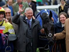 O koňoch Sira Alexa Fergusona by fanúšikovia Man Utd mali vedieť ešte pred festivalom v Cheltenhame O koňoch Sira Alexa Fergusona by fanúšikovia Man Utd mali vedieť ešte pred festivalom v Cheltenhame