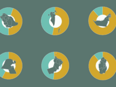 Odkiaľ pochádza 35 miliónov cudzincov žijúcich v GCC? | Infografika Novinky Odkiaľ pochádza 35 miliónov cudzincov žijúcich v GCC? | Infografika Novinky