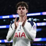 Archie Gray sa ukázal ako hrdina týchto nepokojných čias v Spurs a jeho výkon proti Atléticu Madrid bol ďalším dôkazom toho, že má na to, aby sa predviedol na úplnom vrchole.