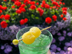 Predstavujeme Drop Shot, charakteristický nápoj na BNP Paribas Open Download app from appStore