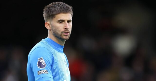 Premier Organization vybuchla za to, že po prehre vo Fulhame udrela do povedomia celebrity Tottenhamu|Futbal|Športová aktivita 
