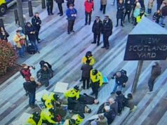 Stúpenci Palestínskej akcie boli zatknutí v dôsledku reverznej politiky londýnskej Met Police | Správy o konflikte medzi Izraelom a Palestínou Stúpenci Palestínskej akcie boli zatknutí v dôsledku reverznej politiky londýnskej Met Police | Správy o konflikte medzi Izraelom a Palestínou