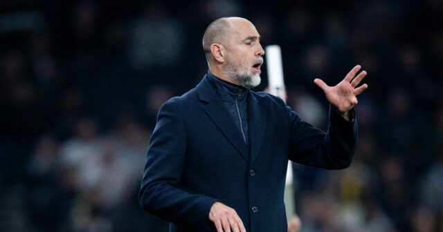 Tottenham vydal jemné aktualizácie o budúcnosti Igora Tudora po tom, čo sa zintenzívnili výzvy na prepustenie 