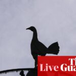 Tottenham vs Crystal Palace: Premier League – naživo | Premier League