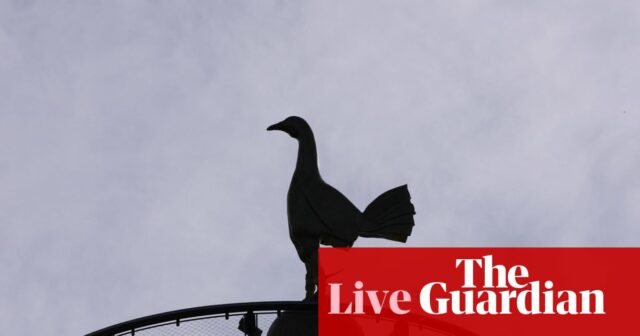 Tottenham vs Crystal Palace: Premier League – naživo | Premier League
