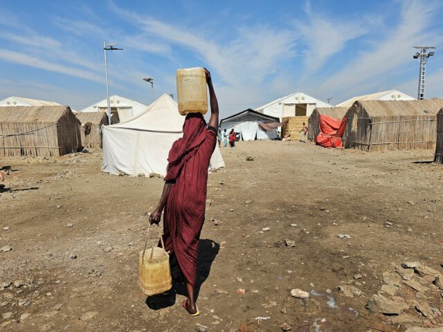 WHO tvrdí, že pri útoku na sudánsku nemocnicu zahynulo 64 vrátane 13 detí | Správy o vojne v Sudáne
