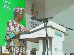 WTO tvrdí, že svet zažíva najhoršie narušenie obchodu za posledných 80 rokov | Medzinárodné obchodné správy WTO tvrdí, že svet zažíva najhoršie narušenie obchodu za posledných 80 rokov | Medzinárodné obchodné správy