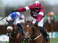 Aintree kôň Gold Dancer bol porazený na Ladies Day po tom, čo si zlomil chrbát pri víťazstve v pretekoch na Grand National Festival Zlatý tanečník zomrel v Aintree po tom, čo bol porazený - chvíľu po víťazstve v pretekoch