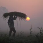 Ako sa iránska kríza vlečie, obavy z globálnej potravinovej krízy rastú | Americko-izraelská vojna proti Iran News